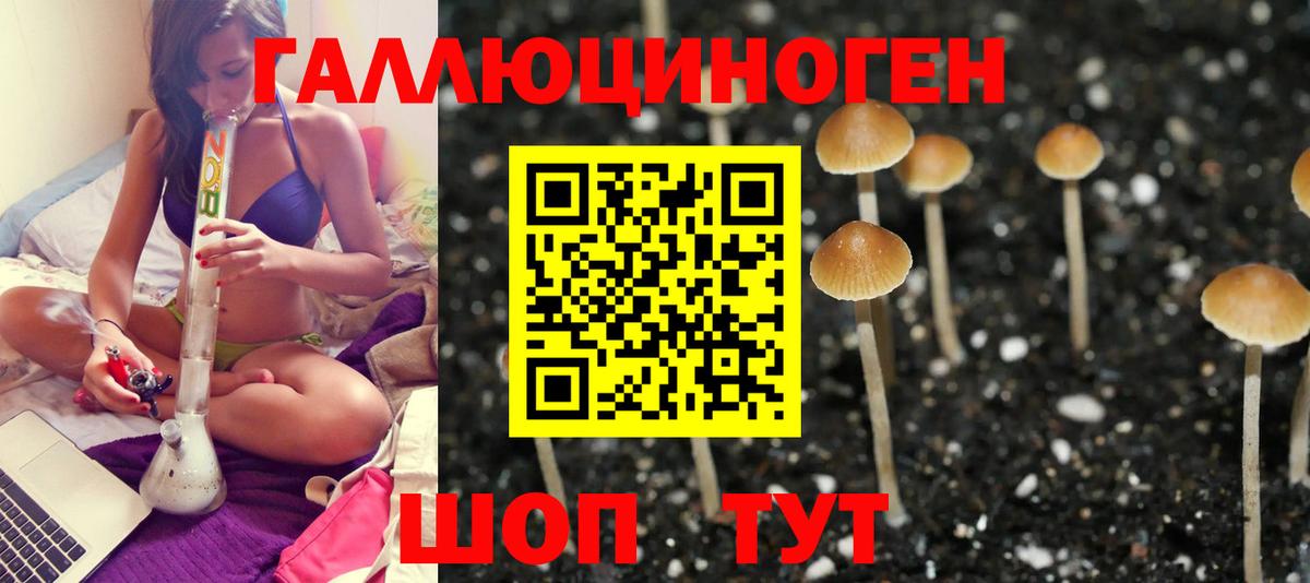где купить наркоту  Вход с VPN  Балашиха  Галлюциногенные грибы MAGIC MUSHROOMS  Псилоцибиновые грибы Cubensis 